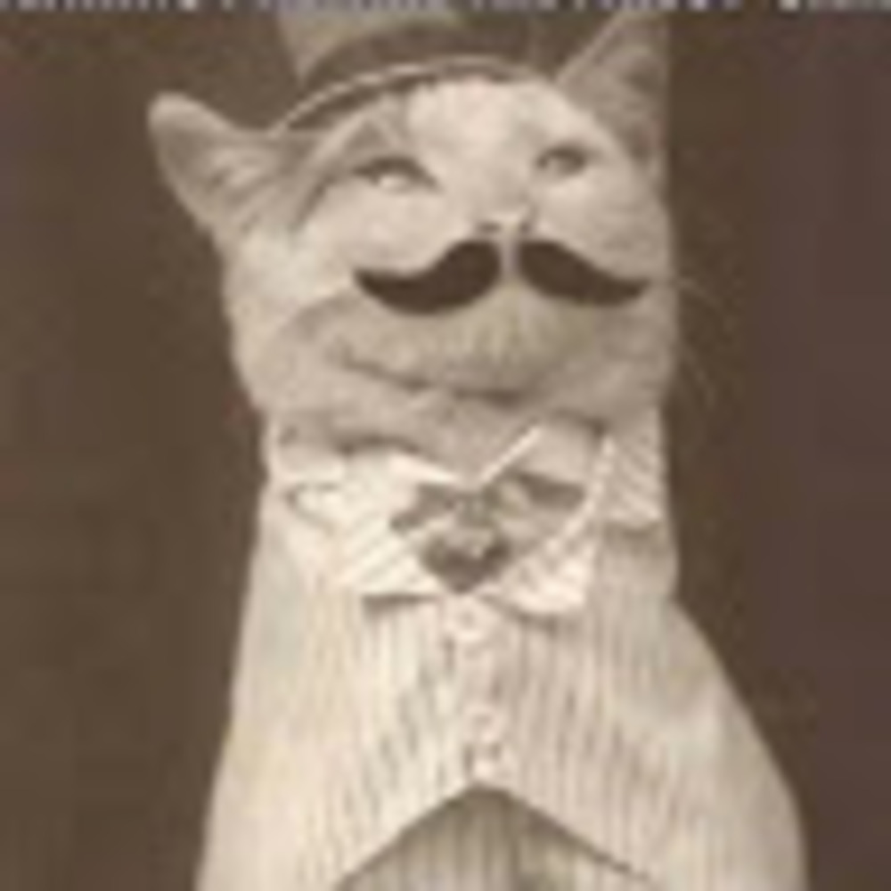 Meet your Posher, Trust24